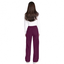 Pantalon de lucru CORE STRETCH WWE4005 / Roșu vin
